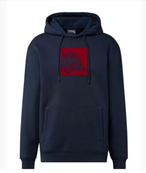 Red Bull Core Hoodie