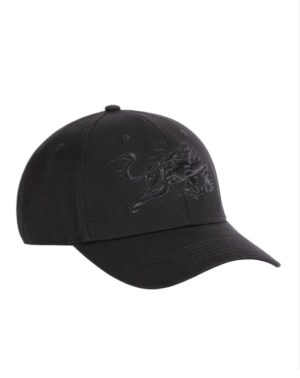Red Bull Paddock Cap