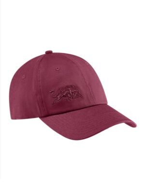 Red Bull Core Cap